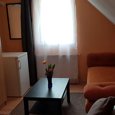 Πανσιόν Joy Σίοφοκ