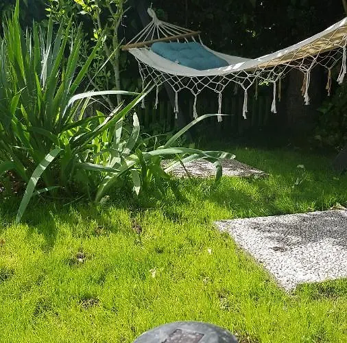 בית הארחה Joy שיופוק