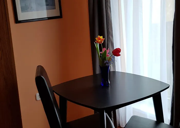 בית הארחה Joy 3*