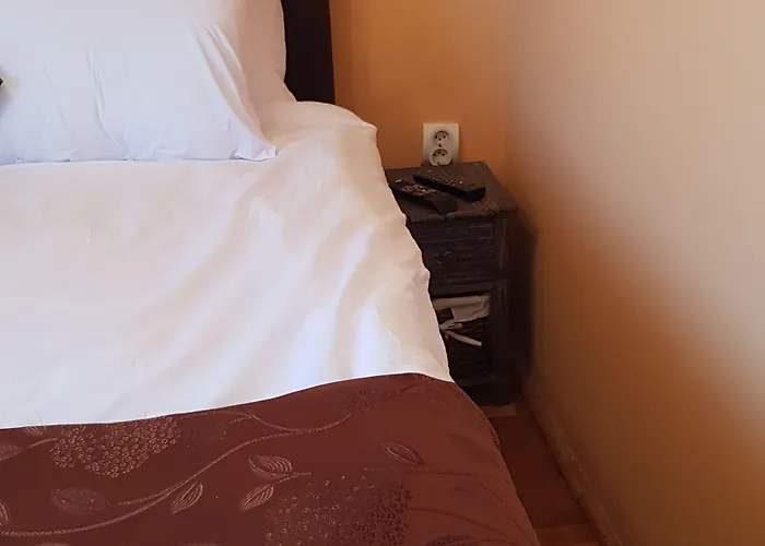 Joy 招待所 希欧福克