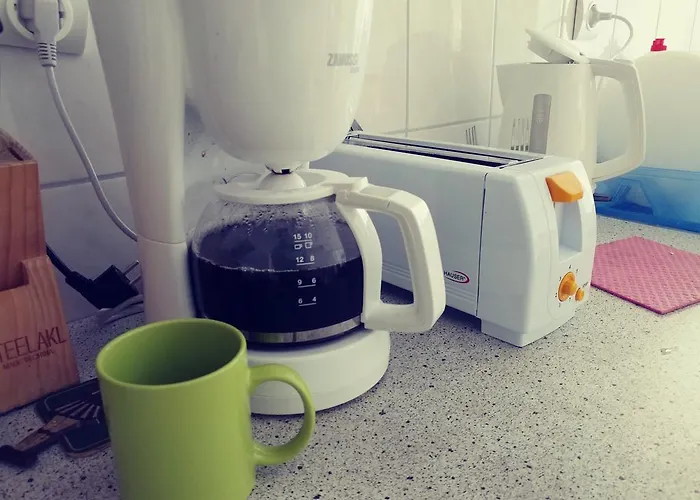 招待所 Joy 希欧福克